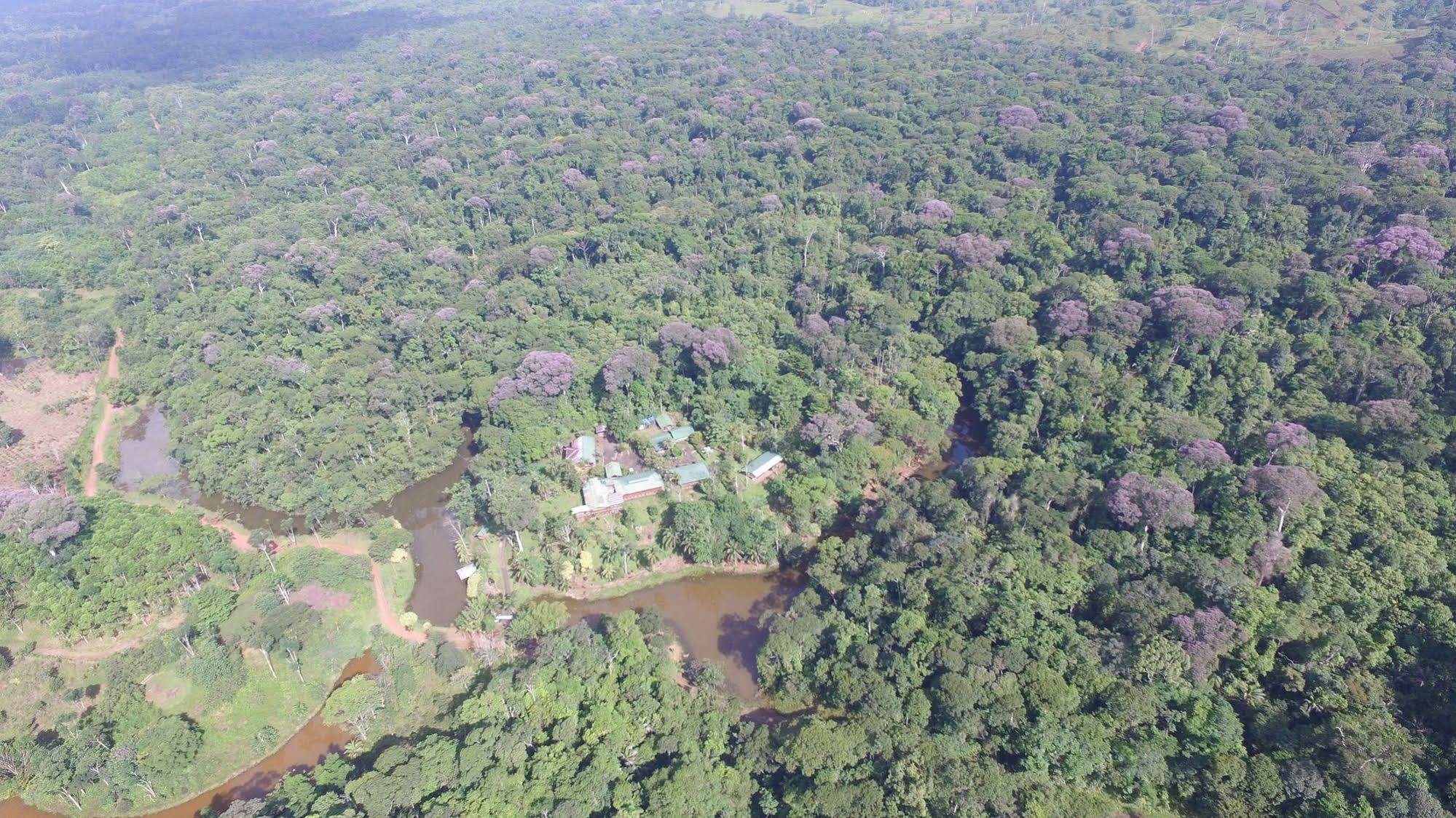 La Laguna del Lagarto Lodge Pital  Exterior foto