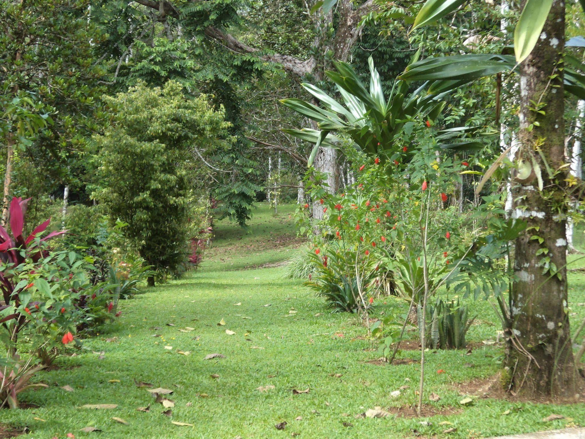 La Laguna del Lagarto Lodge Pital  Exterior foto